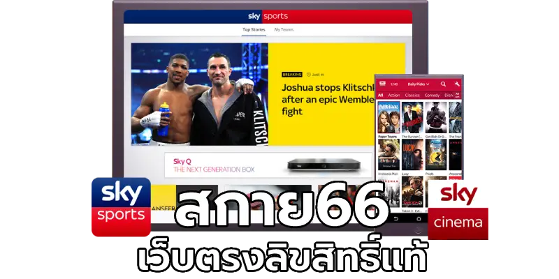 สกาย66 เว็บตรงลิขสิทธิ์แท้